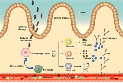 Increased monocyte abundance as a marker for relapse after discontinuation of biologics in inflammatory bowel disease with deep remission
